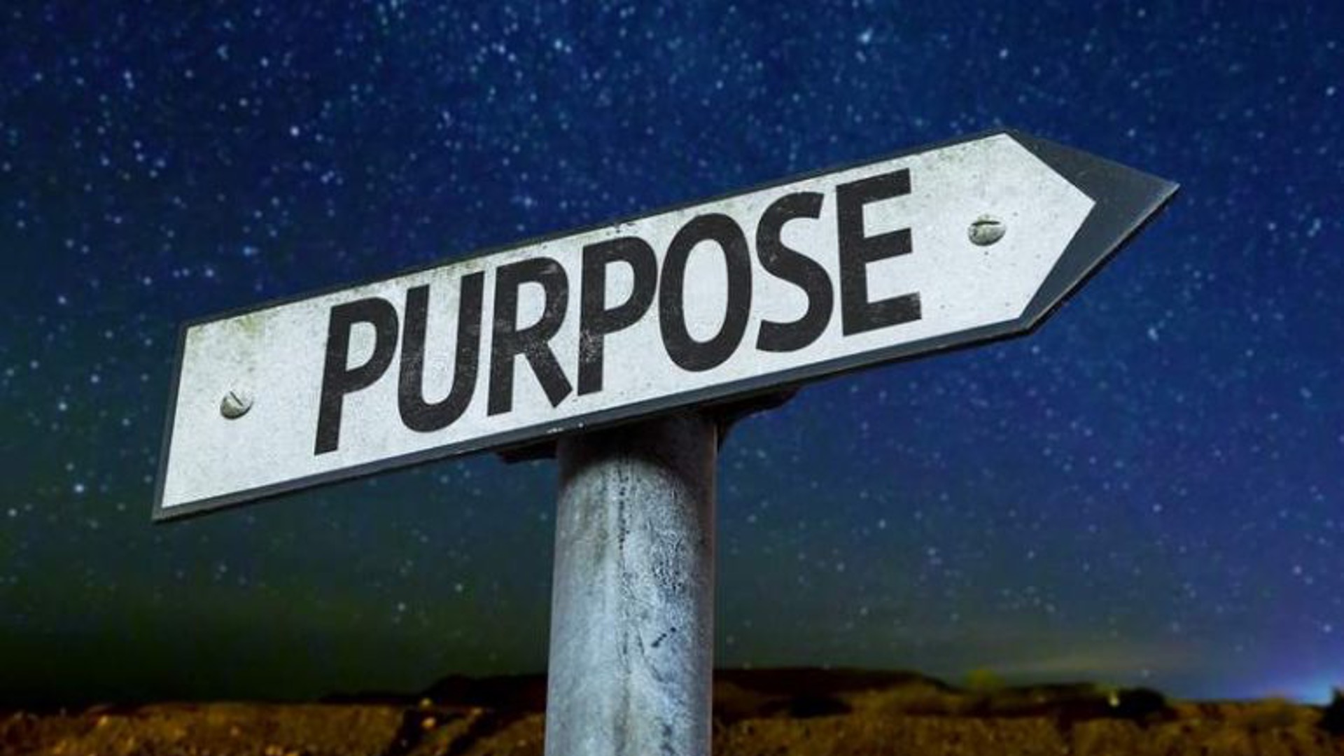 Organizational Purpose and Social Performance - Do actions speak louder than words?